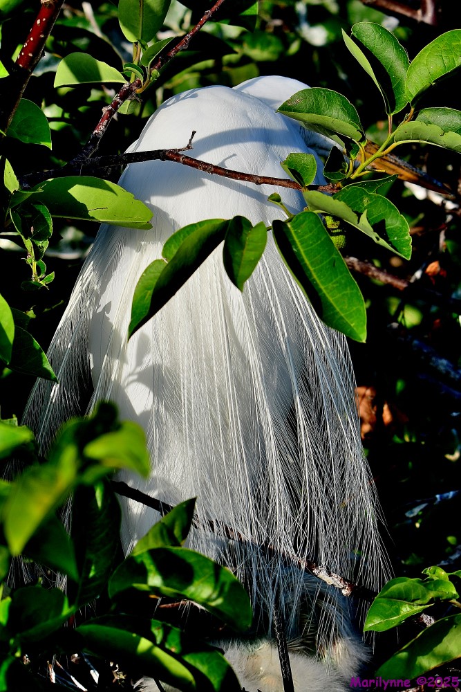 DSC_8837_001.JPG