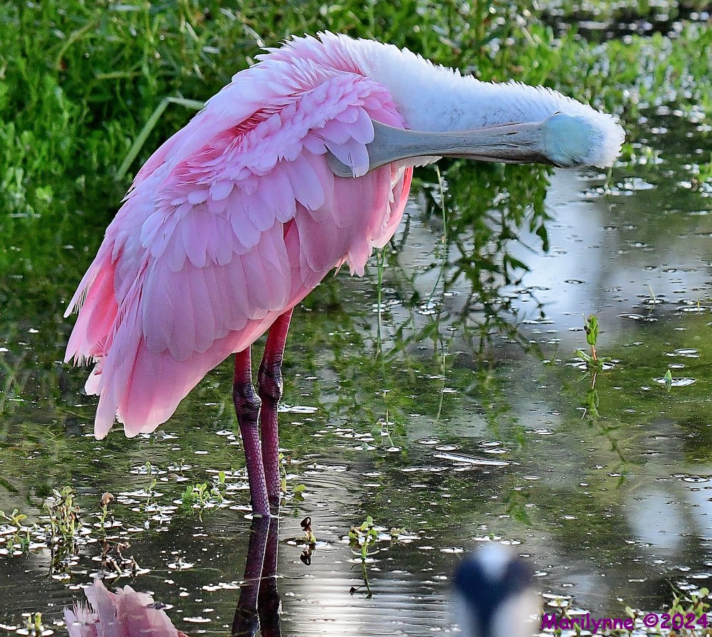 DSC_8838_001.JPG