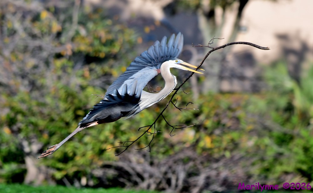 DSC_8838_001.JPG