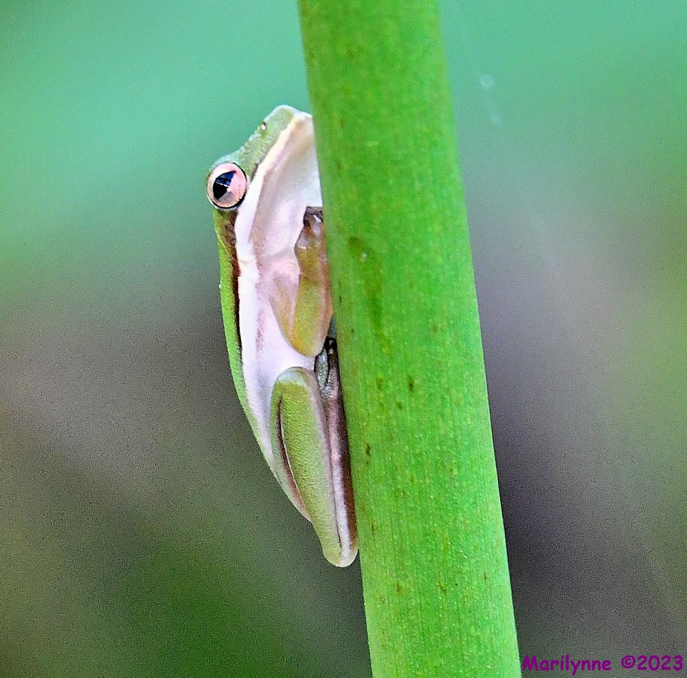 DSC_8840_001.JPG
