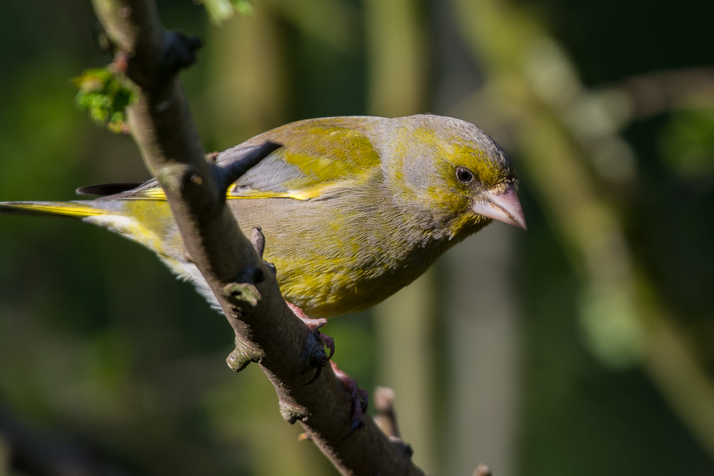 DSC_8842.jpg