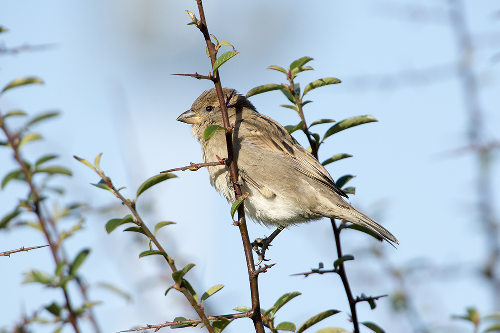 DSC_8843.jpg