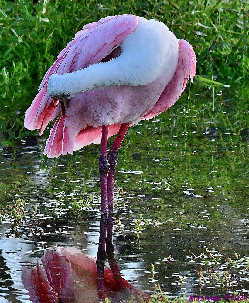 DSC_8843_001.JPG