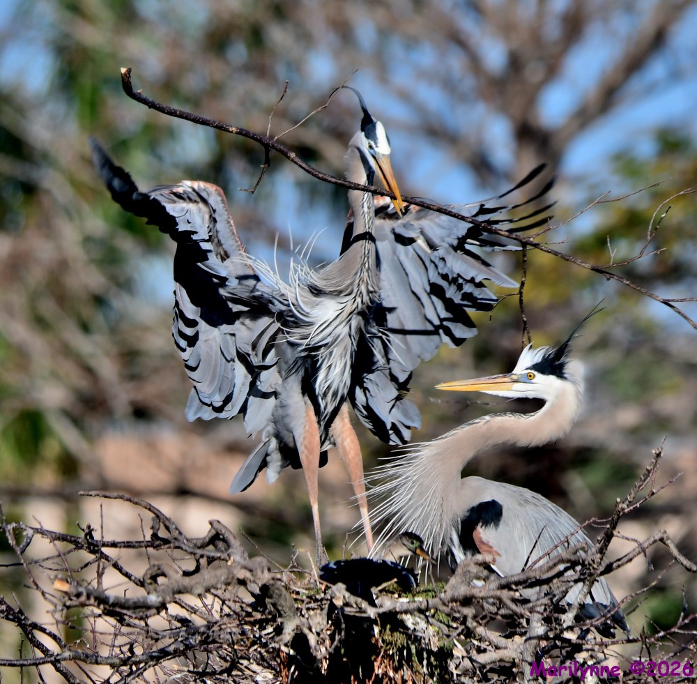 DSC_8843_001.JPG