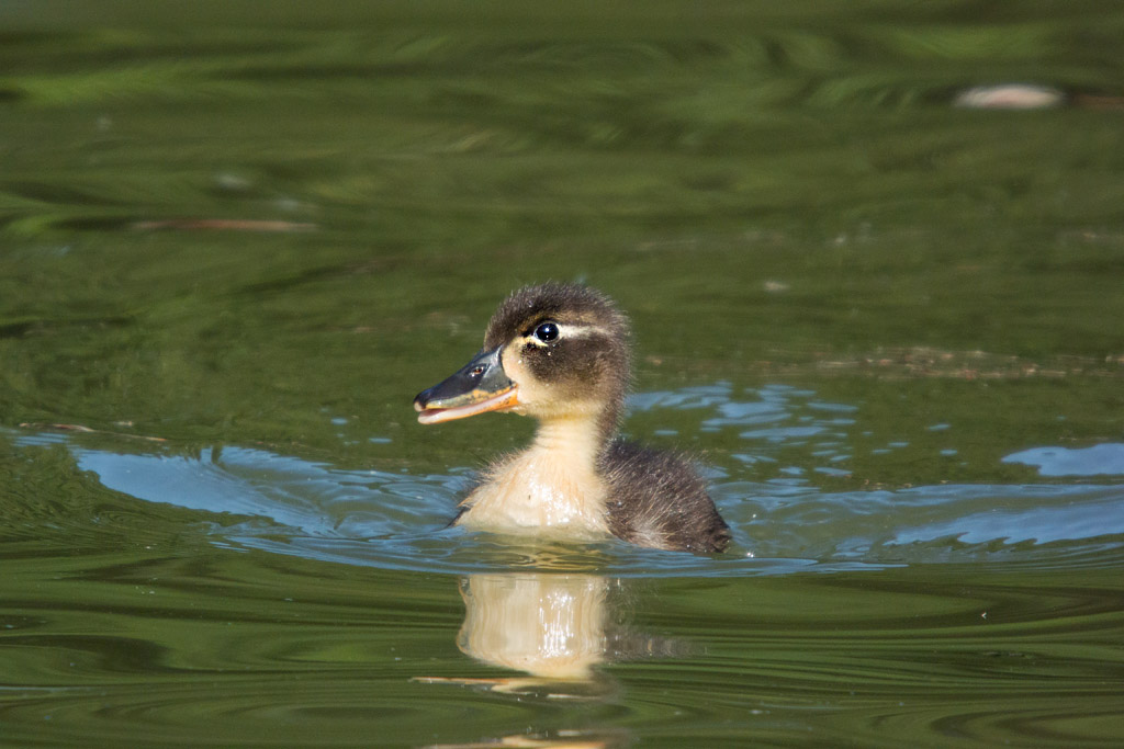 DSC_8844.jpg