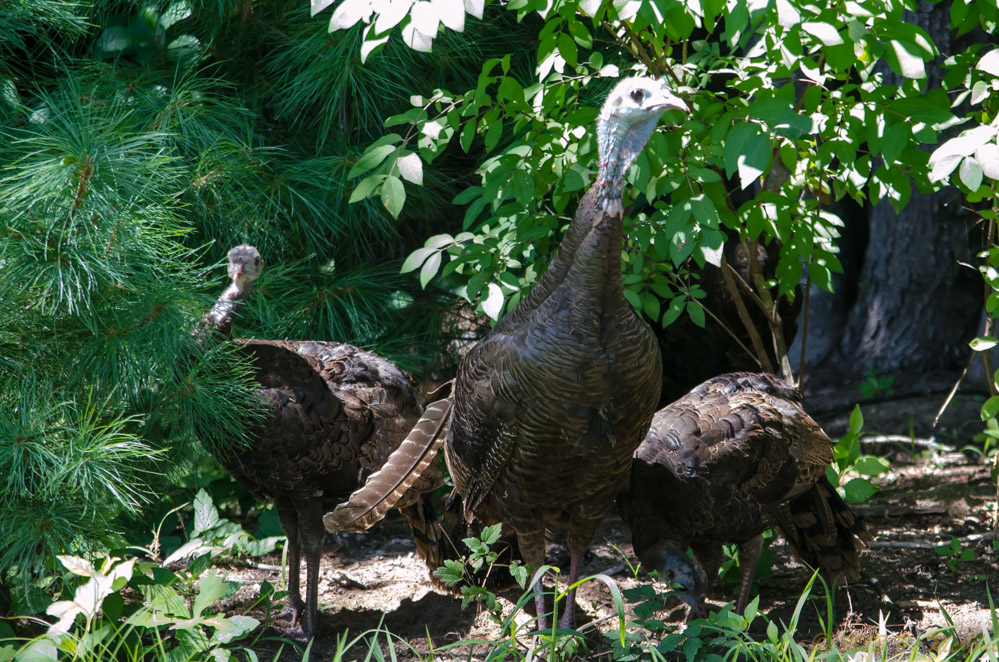 DSC_8844.jpg