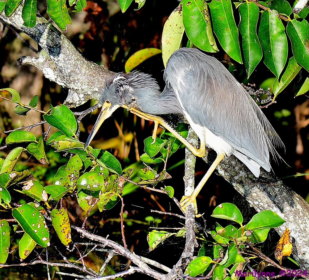 DSC_8846_001.JPG