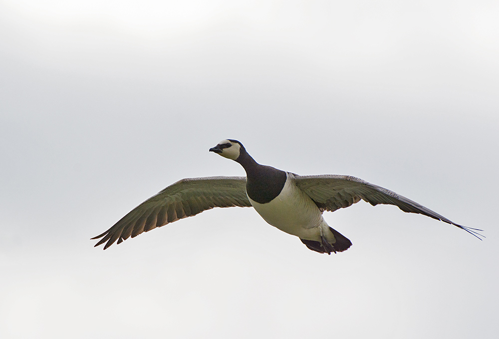 DSC_8847.jpg