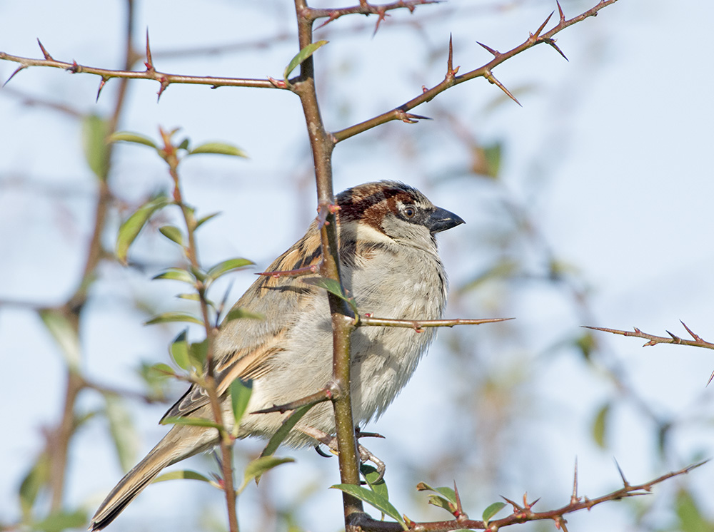 DSC_8850.jpg