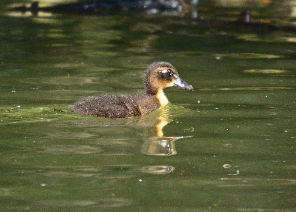DSC_8850.jpg