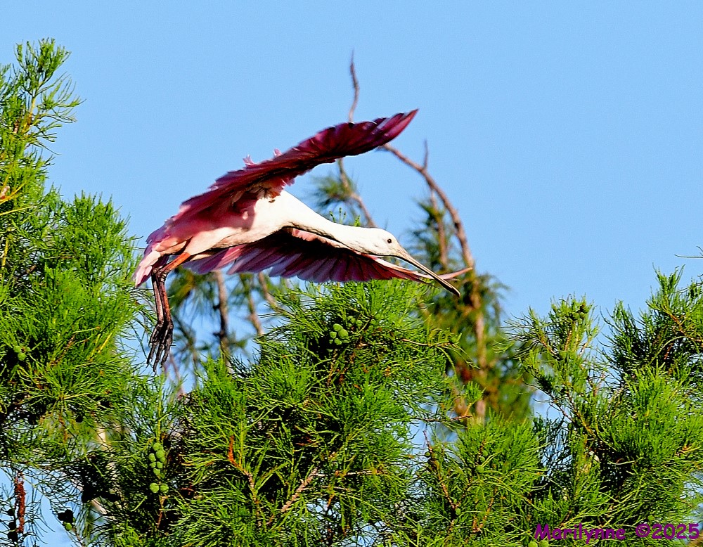 DSC_8850_001.JPG