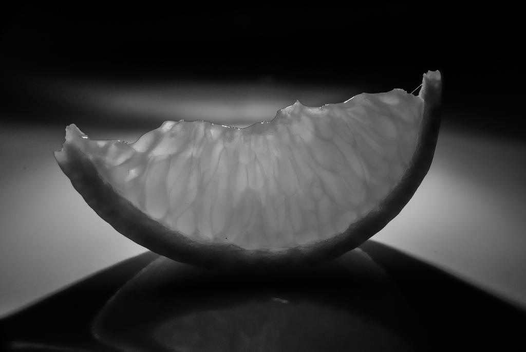 DSC_8850_edited-bw.jpg