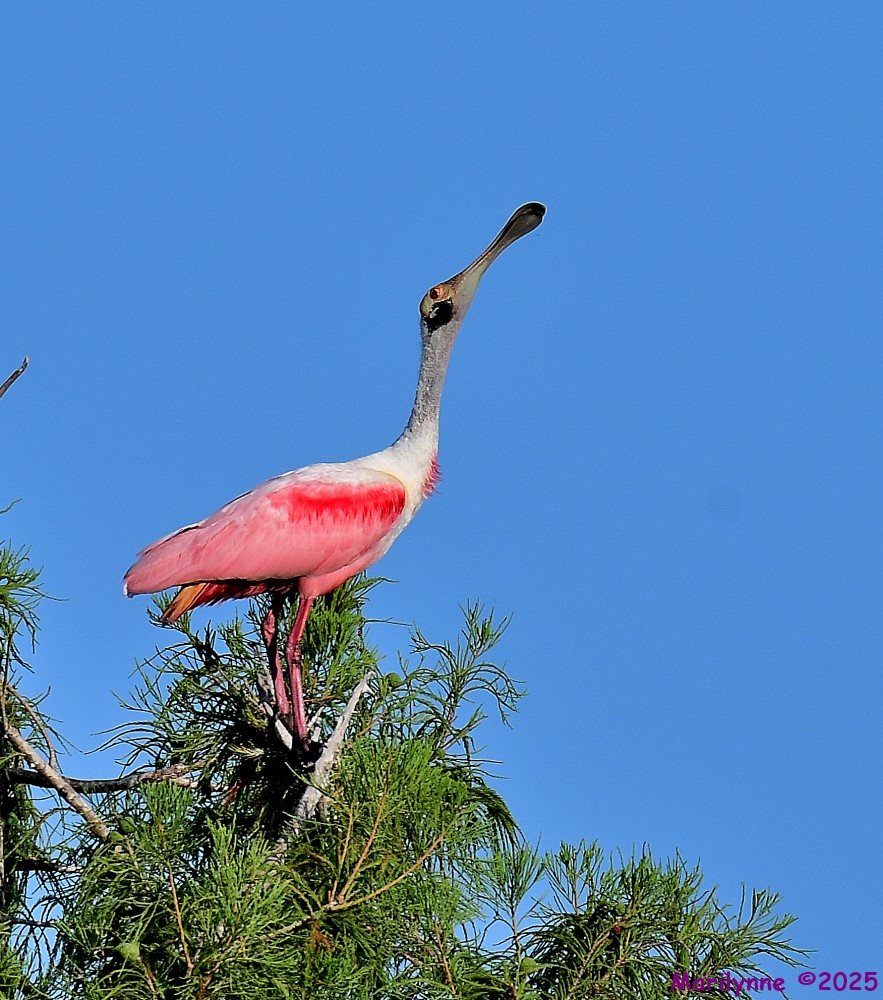 DSC_8853_001.JPG