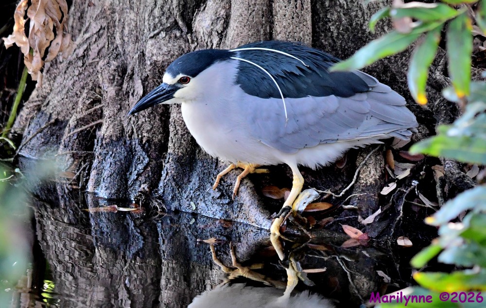 DSC_8857_001.JPG