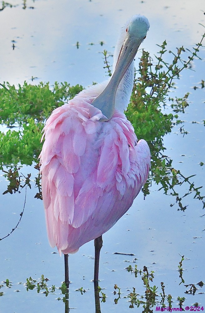 DSC_8859_001.JPG