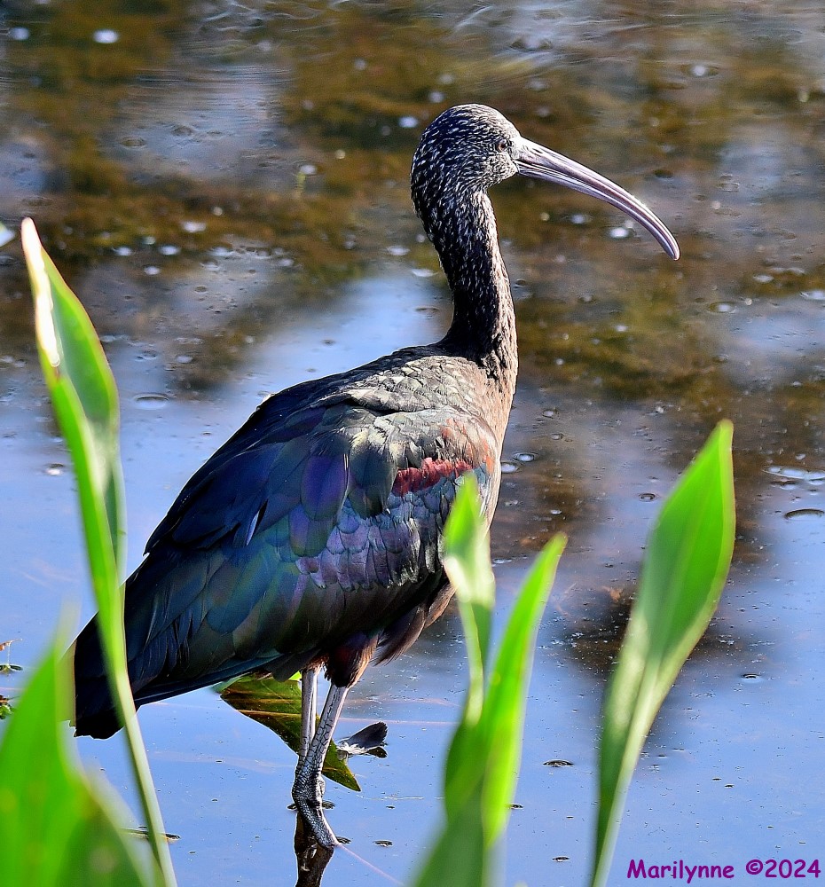 DSC_8859_001.JPG