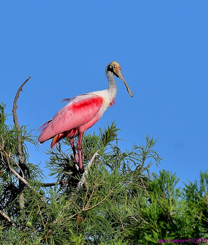 DSC_8859_001.JPG