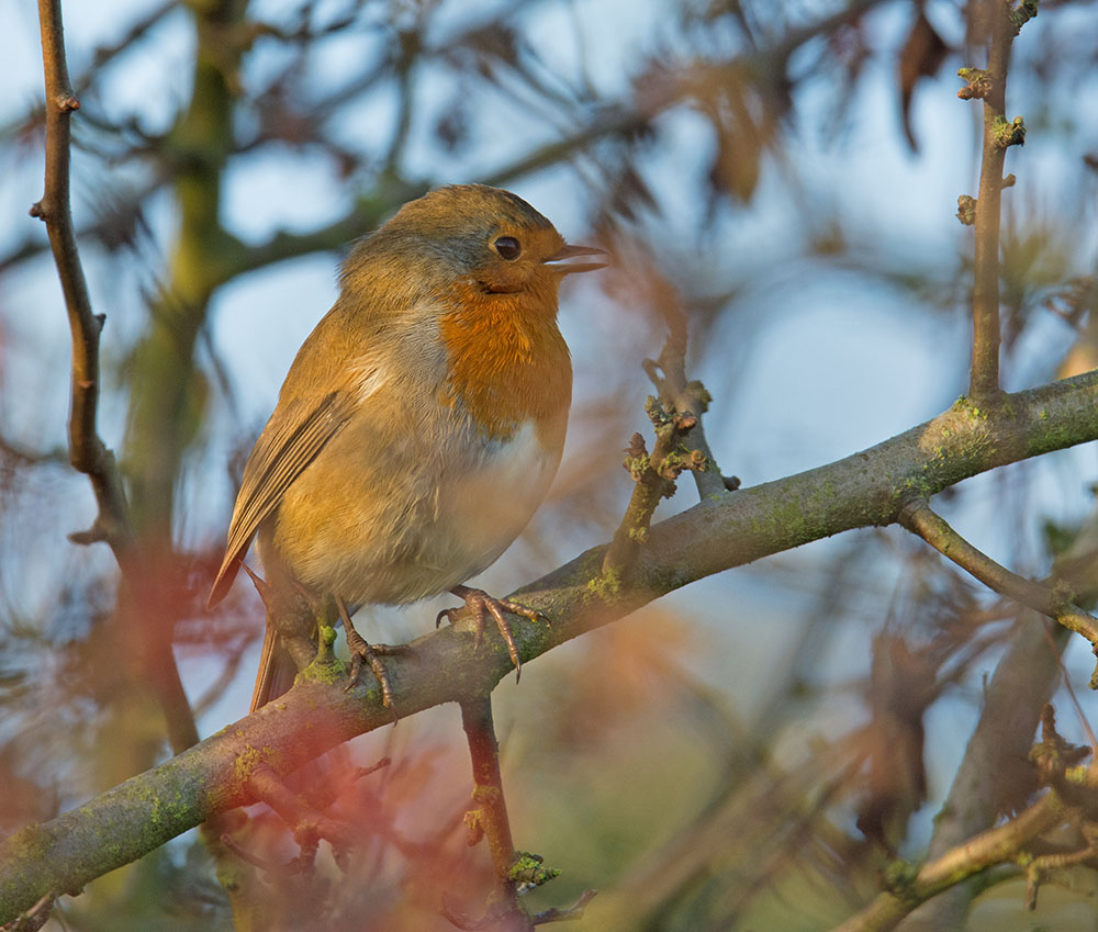 DSC_8863.jpg