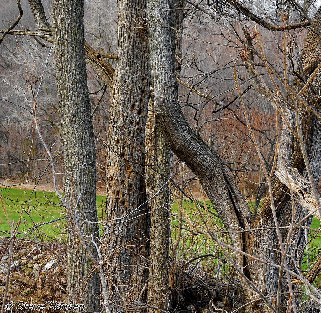 DSC_8863.jpg