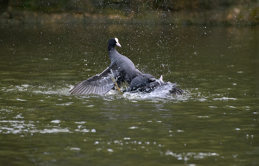 DSC_8864.jpg