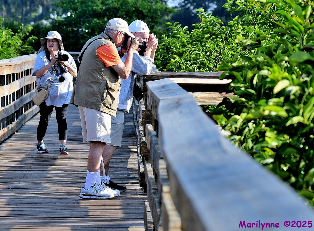 DSC_8866_001.JPG