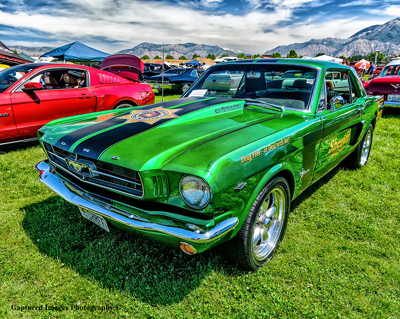 DSC_8867_W.jpg