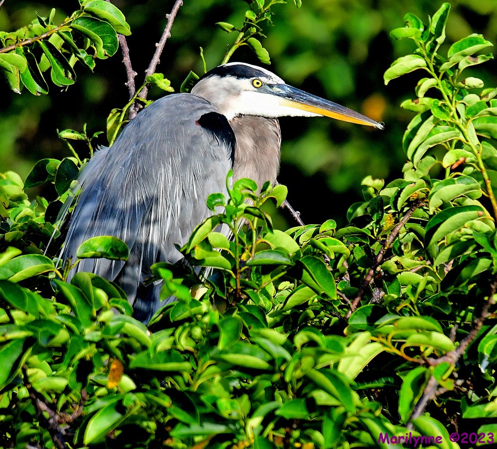 DSC_8876_001.JPG