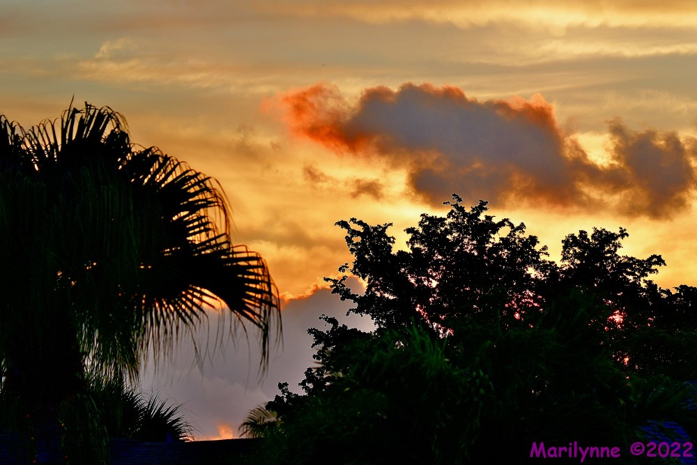 DSC_8879_001.JPG