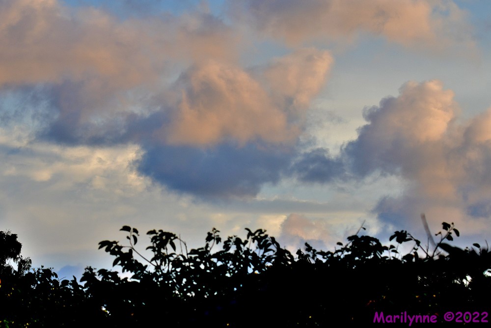 DSC_8883_001.JPG