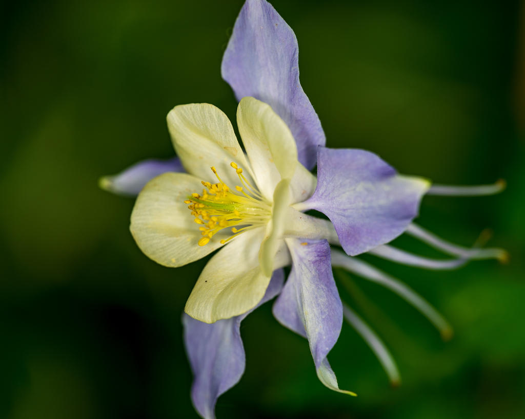 DSC_8885.jpg