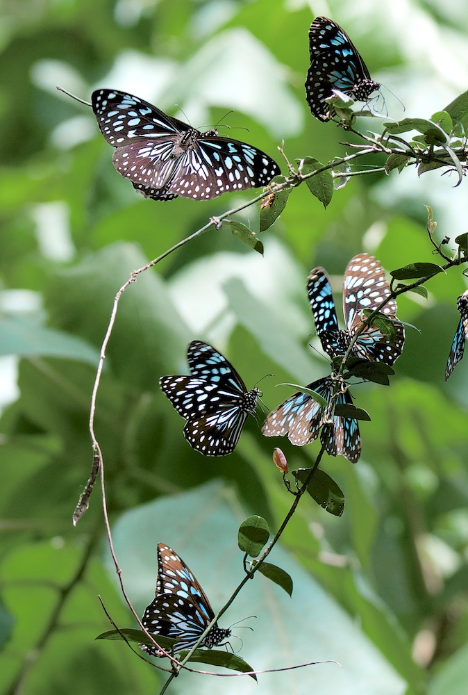 DSC_8888.jpg