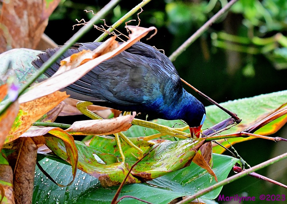 DSC_8892_001.JPG