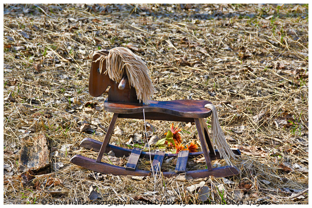 DSC_8897.jpg
