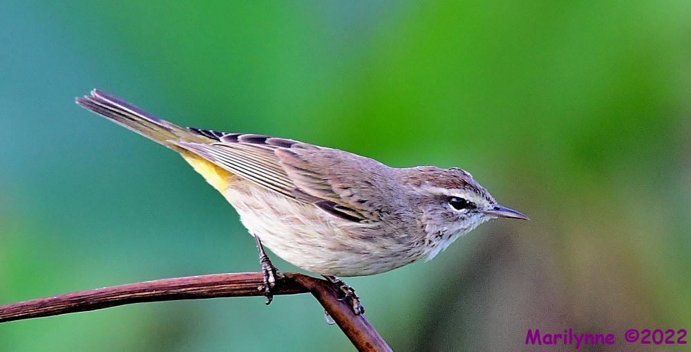 DSC_8899_001.JPG