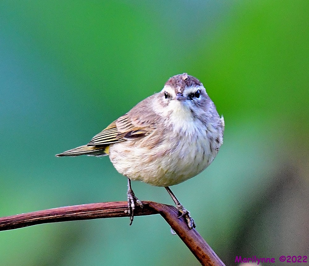 DSC_8900_001.JPG