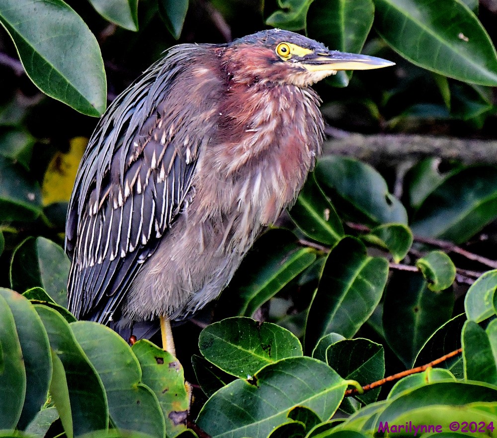 DSC_8901_001.JPG