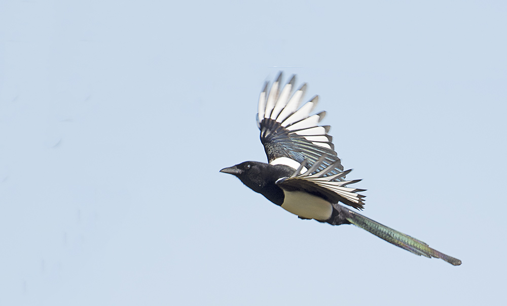 DSC_8902.jpg