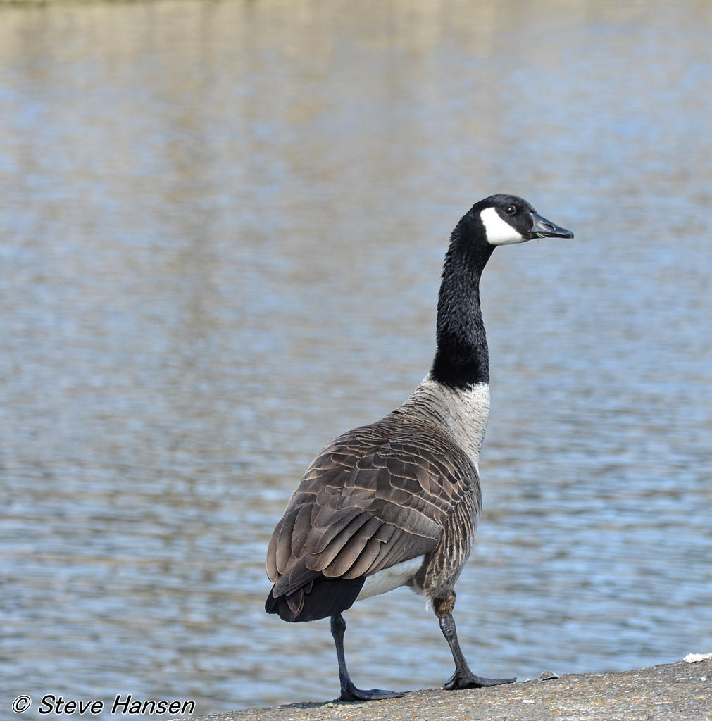 DSC_8903.jpg
