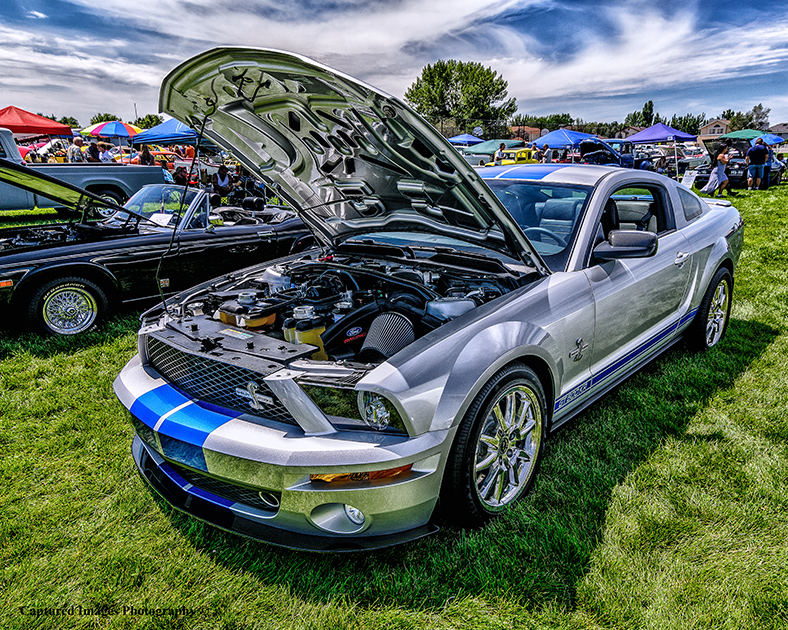 DSC_8906_W.jpg