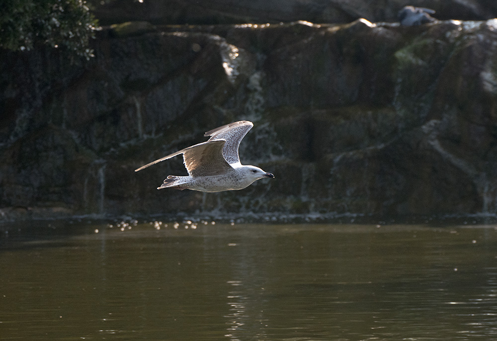 DSC_8907.jpg