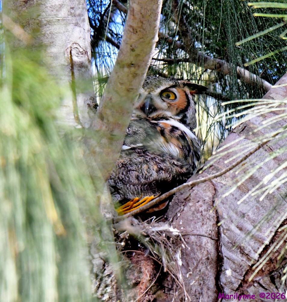 DSC_8908_001.JPG