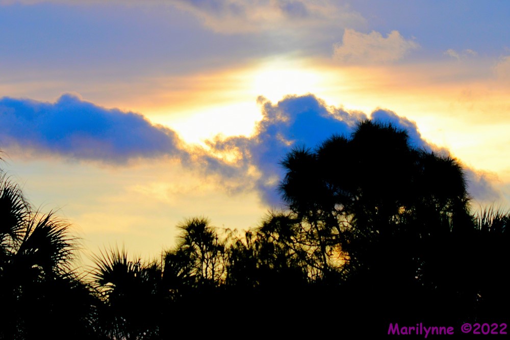 DSC_8909_001.JPG