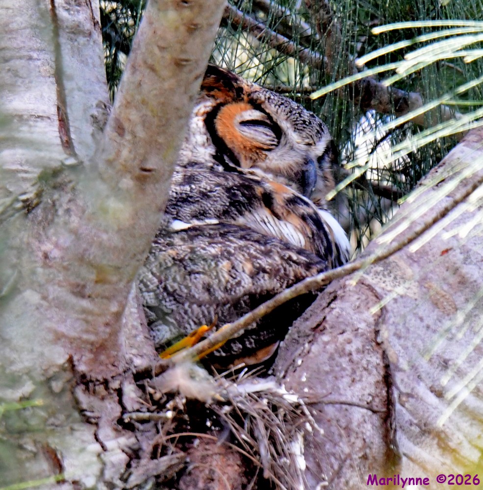 DSC_8909_001.JPG