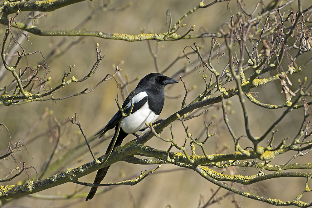 DSC_8911.jpg