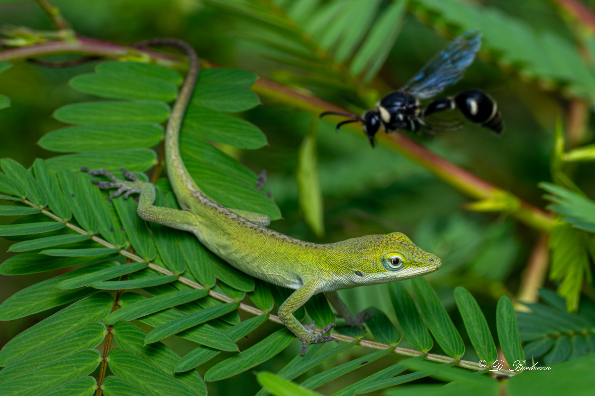 DSC_8915.jpg