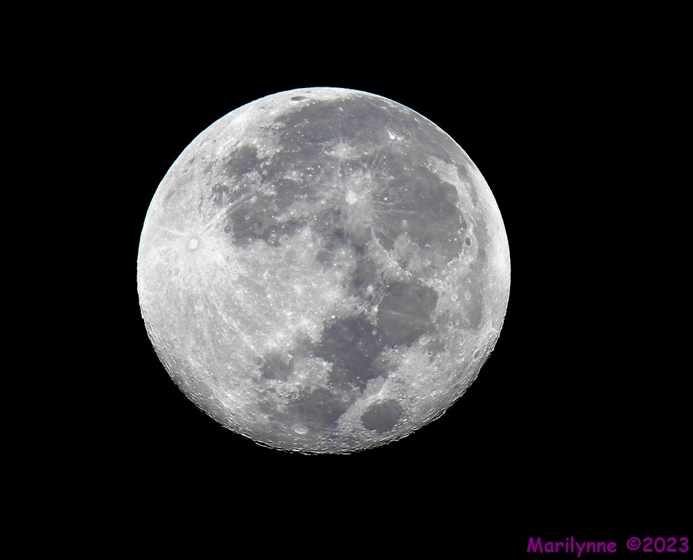DSC_8915_001.JPG