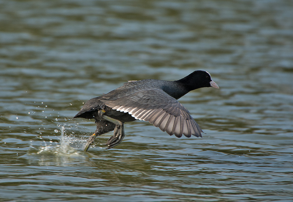 DSC_8919.jpg
