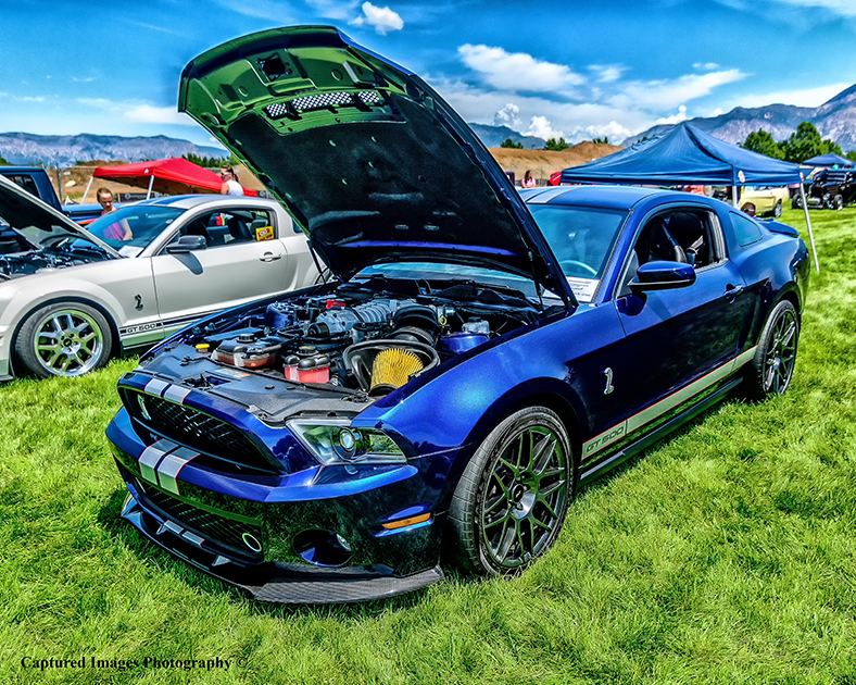 DSC_8922_W.jpg