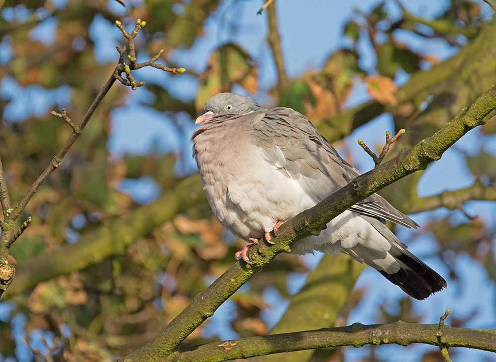 DSC_8923.jpg