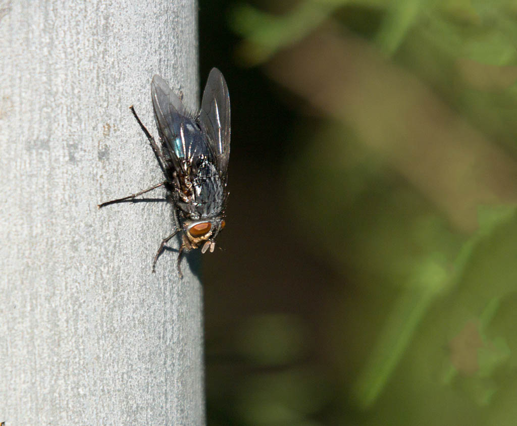 DSC_8926.jpg
